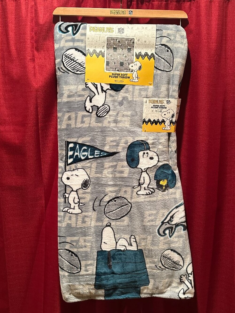 Peanuts NFL Philadelphia Eagles Snoopy 60" x 70" Super Soft Plush Blanket